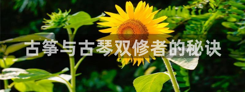 凯发k8手机是正品吗