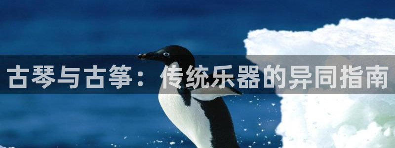 凯发官网|认准kpm