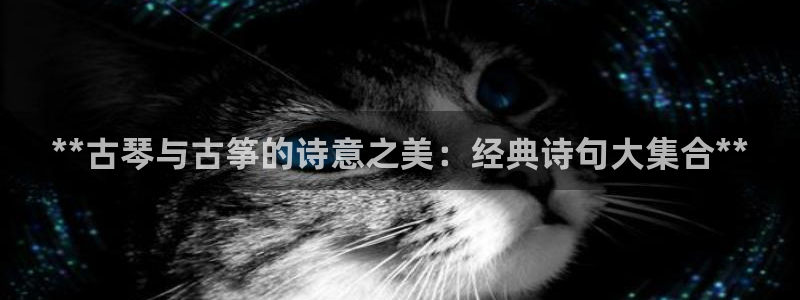 凯发K8天生赢家一触即发