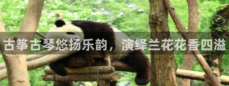 凯发娱乐官方网站