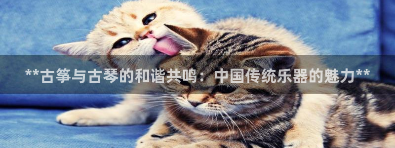 凯发一触即发