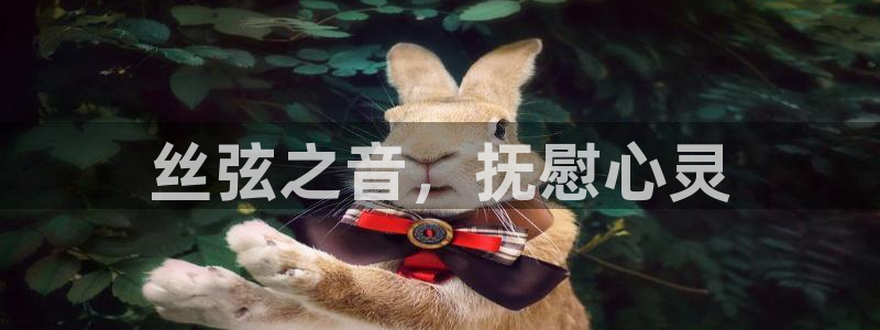 ks8凯发官方网站
