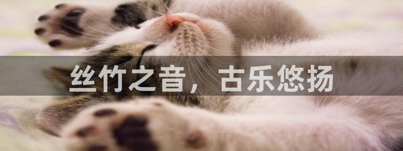 凯发app平台