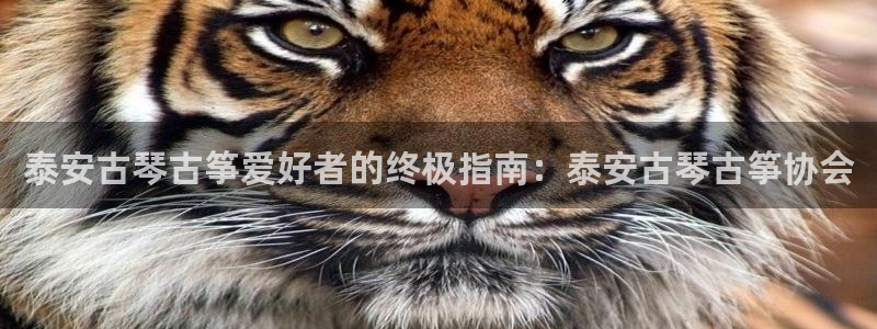 凯发国际app下载