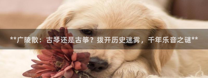 凯发网址直营