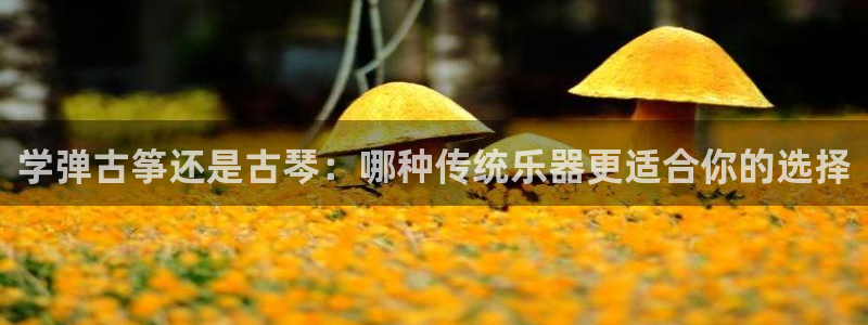 凯发最新官方app下载