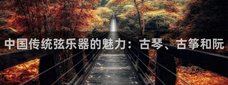 凯发网址多少