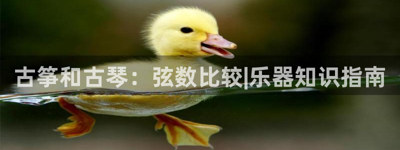 凯发k8娱乐官网入