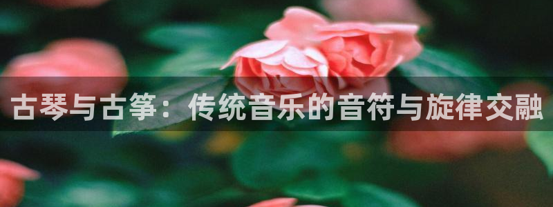 凯发娱乐k8国际