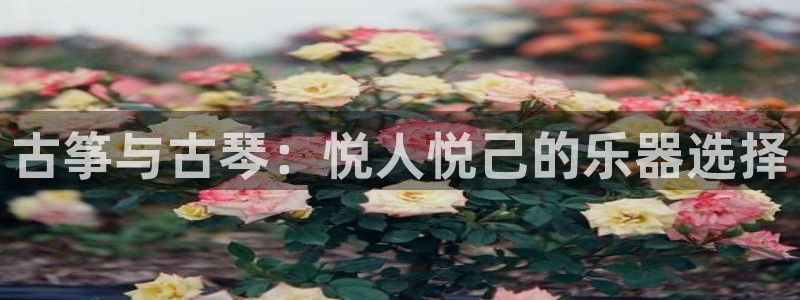凯发网址登录