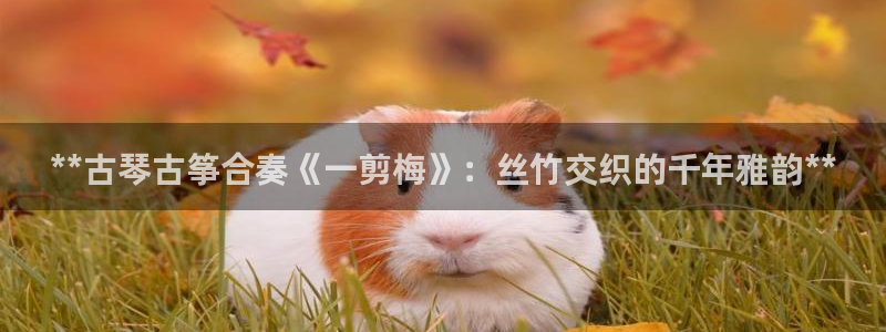 凯发国际平台首页