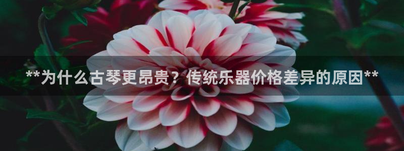 凯发k8娱乐官网旗舰厅