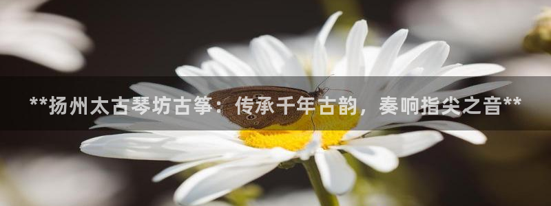 凯发平台轻7O777