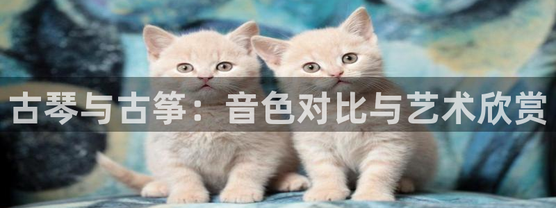 凯发手机客户端下载
