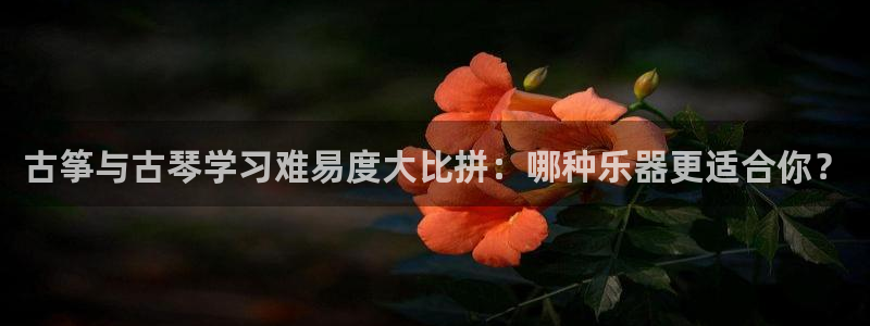 凯发k8娱乐是国内平台?