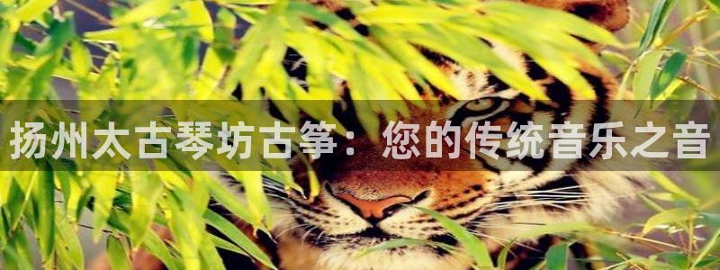 凯发官方网站是多少