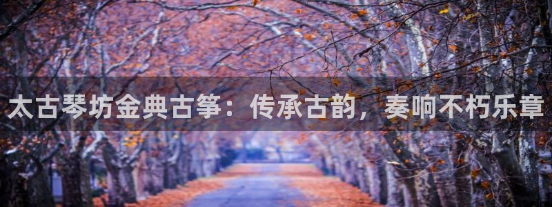 凯发网娱乐官网国际