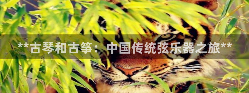 凯发国际娱乐官网k8