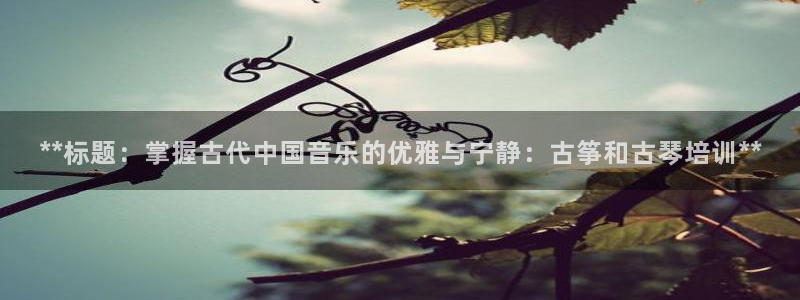 凯发k8娱乐手机版官网