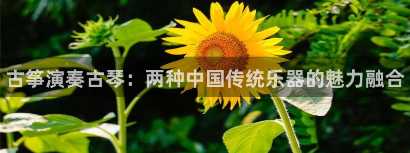 凯发k8旗舰厅app下载i来就送38元