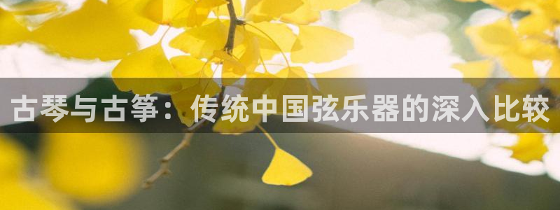 凯发k8ag85856