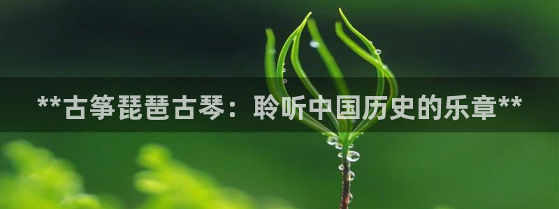 凯发官网手机app