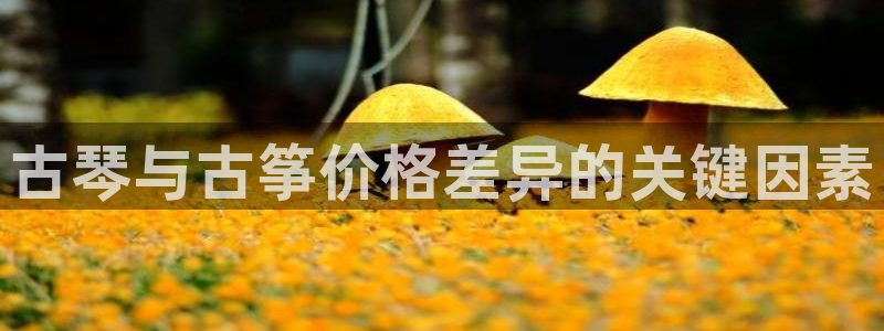 凯发app可信吗