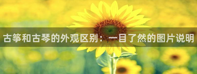 k8凯发官方找就送38