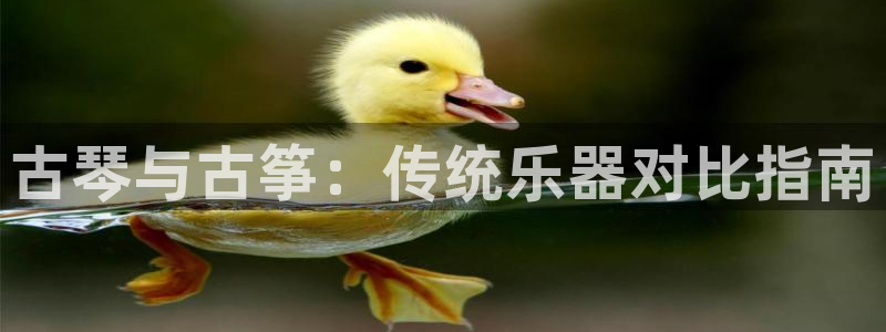 凯发官网入口首页