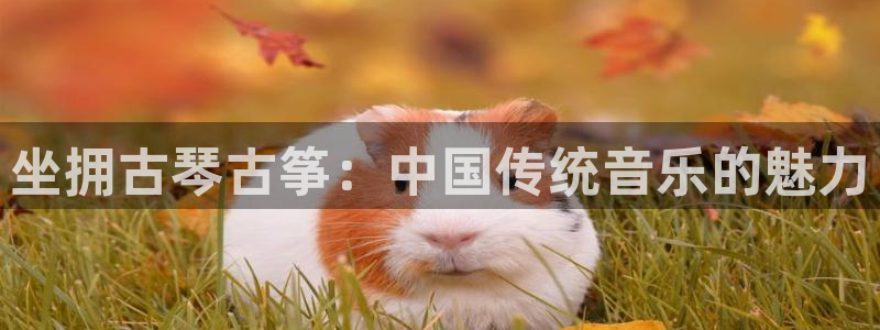凯发k8国际不能提款了吗
