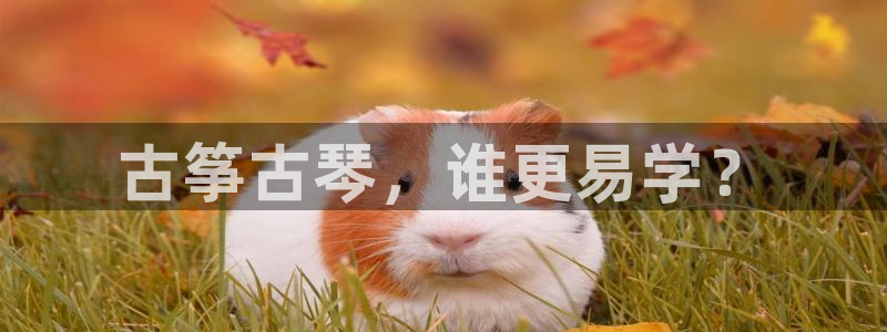 凯发国际亚洲有限公司