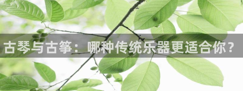 凯发k8网站是多少