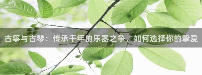 凯发k8国际真人版安全送38元