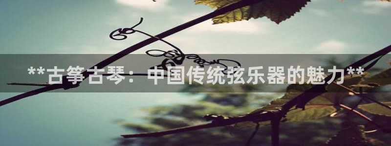 凯发官网网址多少