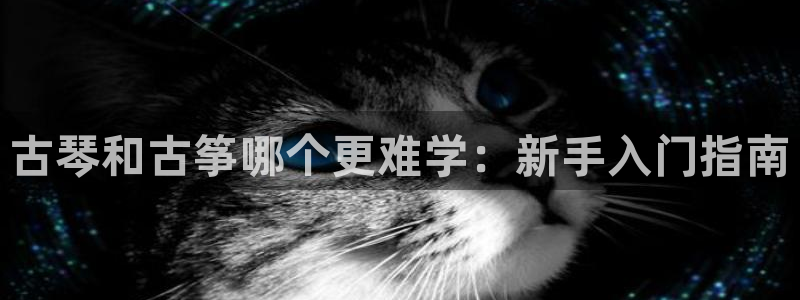 凯发app是干嘛的