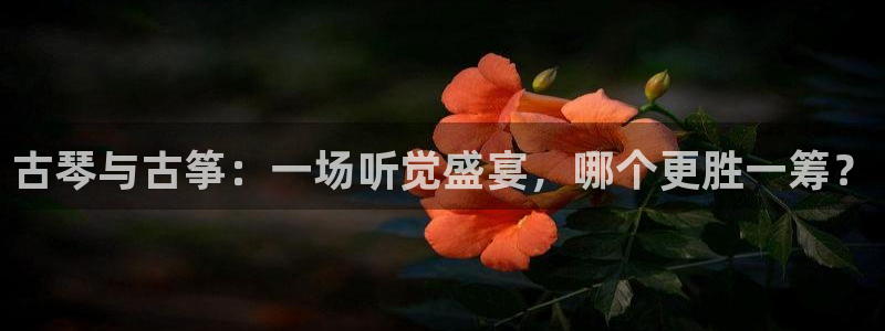 凯发在线平台官方网站