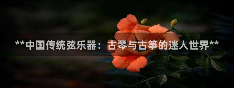 凯发国际娱乐官网k8