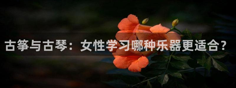 国际凯发k8真人版旗舰厅