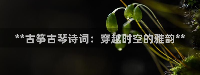 凯发k8网站是多少