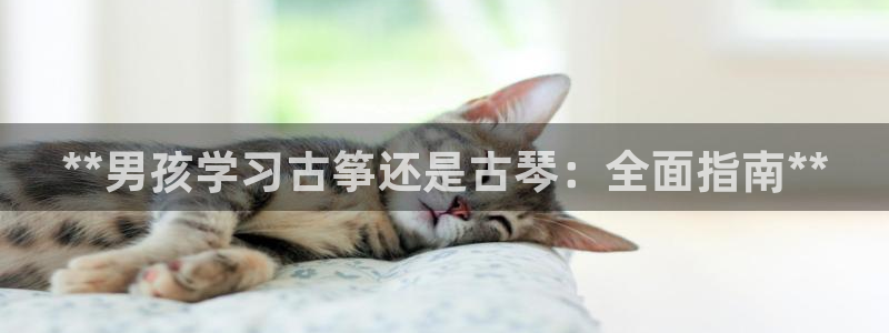 凯发娱乐国际厅：**男孩学习古筝还是古琴：全面指南**