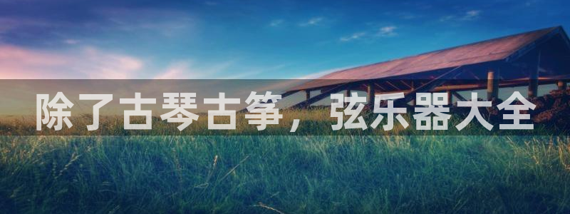 凯发k8手机是正品吗多少钱：除了古琴古筝，弦乐器大全