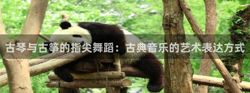 凯发手机官网
