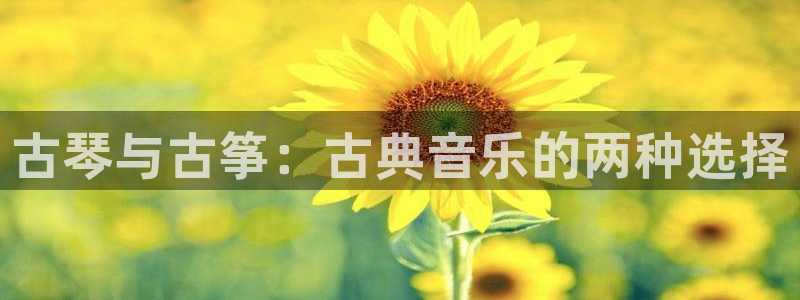 凯发官方首页：古琴与古筝：古典音乐的两种选择