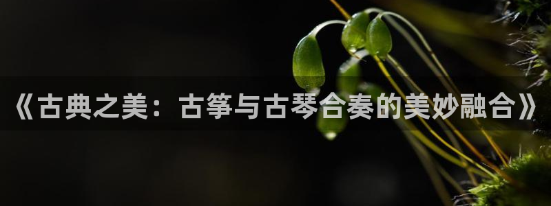 凯发国际网站官网