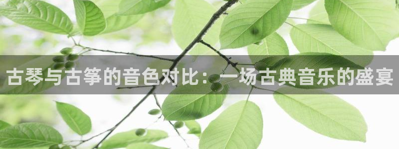 凯发k8官方网娱乐官方真