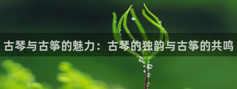 凯发娱乐国际厅：古琴与古筝的魅力：古琴的独韵与古筝的共鸣