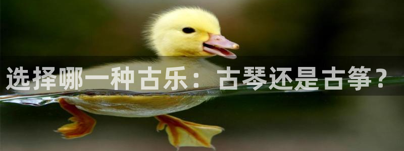 凯发首页：选择哪一种古乐：古琴还是古筝？
