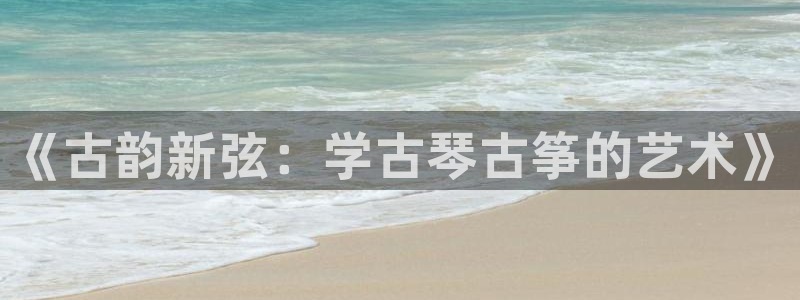 凯发k8官方网娱乐官方真：《古韵新弦：学古琴古筝的艺术》