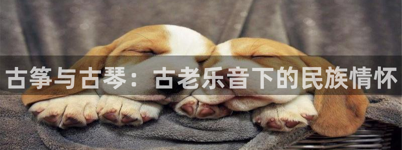 凯发k8手机网页：古筝与古琴：古老乐音下的民族情怀