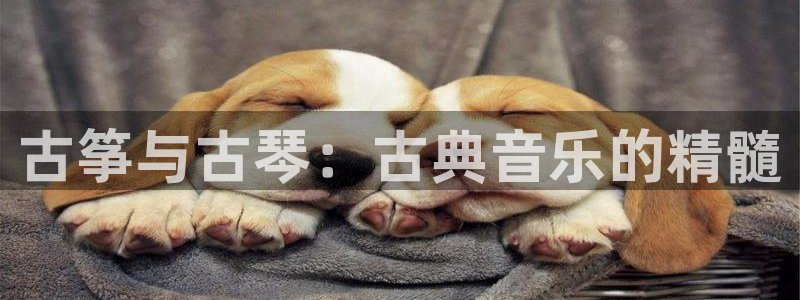 凯发k8娱乐是什么平台